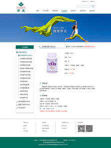 精致之旅 企业网站设计中的视觉艺术与用户体验